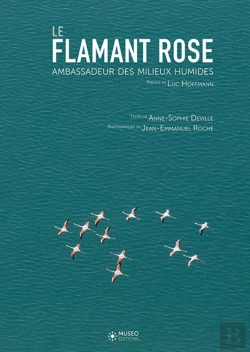 Bertrand.pt - Le Flamant Rose, Ambassadeur Des Milieux Humides