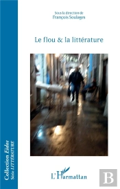 Le Flou Et La Littérature