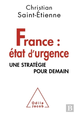 Bertrand.pt - Le Fracassement Quel Avenir Pour Le Reve Francais