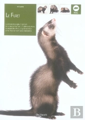 Le Furet
