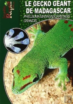 Bertrand.pt - Le Gecko Géant De Madagascar