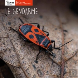 Bertrand.pt - Le Gendarme