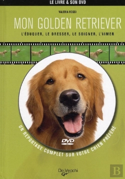 Bertrand.pt - Le Golden Retriever