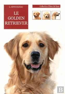Bertrand.pt - Le Golden Retriever