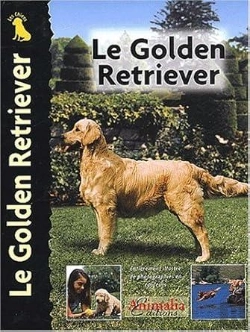 Bertrand.pt - Le Golden Retriever
