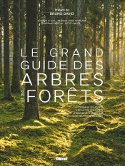 Le Grand Guide Des Arbres Et Forêts