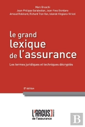 Le Grand Lexique De L'Assurance ; 1000 Termes Juridiques Et Techniques Décryptés (8e Édition)