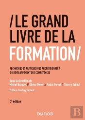 Le Grand Livre De La Formation ; Techniques Et Pratiques Des Professionnels Du Développement Des Compétences (3e Édition)