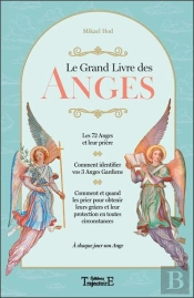 Le Grand Livre Des Anges ; À Chaque Jour Son Ange