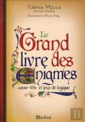 Le Grand Livre Des Énigmes ; Casse-Tête Et Jeux De Logique