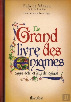 Bertrand.pt - Le Grand Livre Des Énigmes ; Casse-Tête Et Jeux De Logique