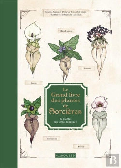 Bertrand.pt - Le Grand Livre Des Plantes De Sorcieres