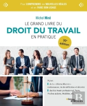 Le Grand Livre Du Droit Du Travail En Pratique - 30e Edition - Emploi - Travail - Relations Professi