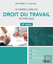 Le Grand Livre Du Droit Du Travail En Pratique