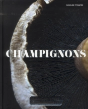 Le Grand Livre Hachette Des Champignons