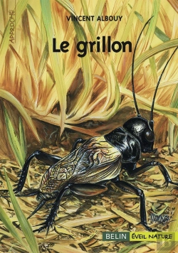 Bertrand.pt - Le Grillon