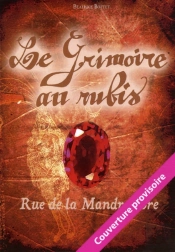 Le Grimoire Au Rubis Cycle 3 T.1 ; Rue De La Mandragore