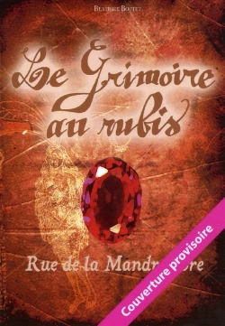 Bertrand.pt - Le Grimoire Au Rubis Cycle 3 T.1 ; Rue De La Mandragore
