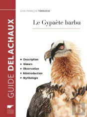 Le Gypaète Barbu