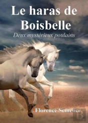 Le Haras De Boisbelle - Deux Mysterieux Poulains
