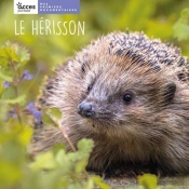 Le Hérisson