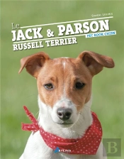 Le Jack Et Le Parson Russell Terrier