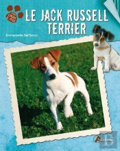 Le Jack Russell Terrier