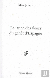 Le Jaune Des Fleurs Du Genêt D'Espagne