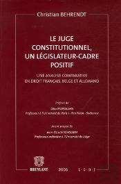 Le Juge Constitutionnel, Un Legislateur-Cadre Positif