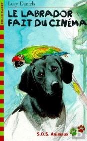 Le Labrador Fait Du Cinema