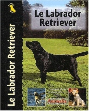 Le Labrador Retriever