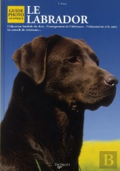 Le Labrador