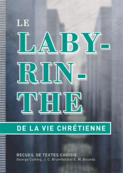Bertrand.pt - Le Labyrinthe De La Vie Chretienne