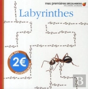 Le Labyrinthe Des Insectes