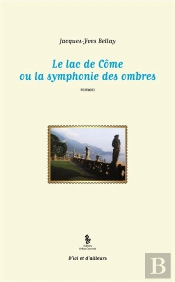 Le Lac De Côme Ou La Symphonie Des Ombres