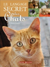 Le Langage Secret Des Chats