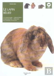 Le Lapin Belier