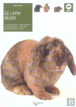 Bertrand.pt - Le Lapin Belier