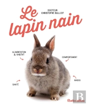 Le Lapin Nain