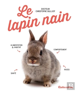 Bertrand.pt - Le Lapin Nain
