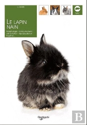 Le Lapin Nain