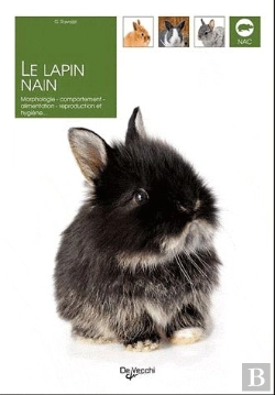 Bertrand.pt - Le Lapin Nain