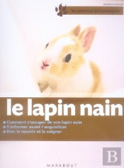 Le Lapin Nain