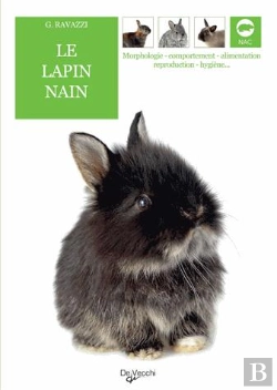 Bertrand.pt - Le Lapin Nain