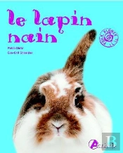 Le Lapin Nain