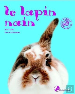 Bertrand.pt - Le Lapin Nain