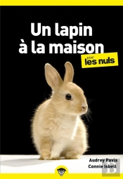 Le Lapin Pour Les Nuls