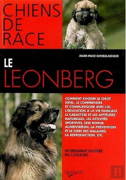 Bertrand.pt - Le Leonberg