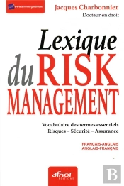 Le Lexique Du Risk Management
