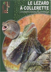 Le Lézard À Collerette - Chlamydosaurus Kingii